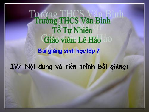 Bài 38. Thằn lằn bóng đuôi dài