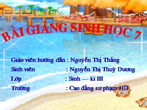 Bài 22. Tôm sông