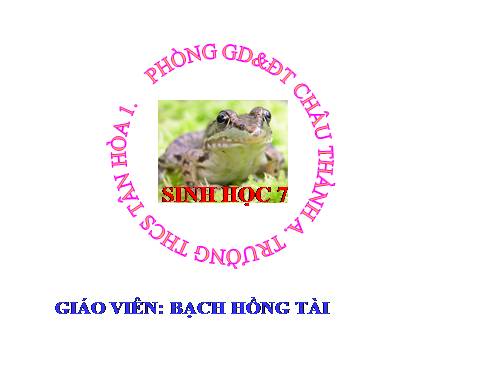 Bài 37. Đa dạng và đặc điểm chung của lớp Lưỡng cư