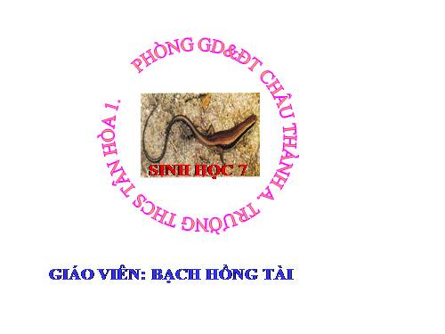 Bài 38. Thằn lằn bóng đuôi dài