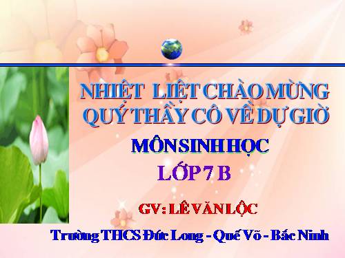 Bài 41. Chim bồ câu
