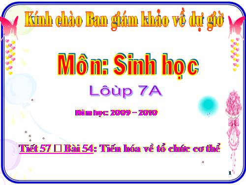 Bài 54. Tiến hoá về tổ chức cơ thể