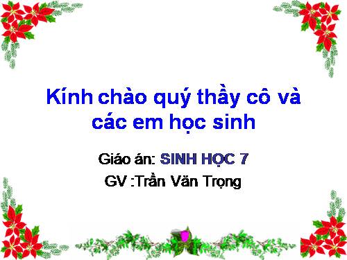 Bài 51. Đa dạng của lớp Thú: Các bộ Móng guốc và bộ Linh trưởng