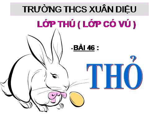 Bài 46. Thỏ