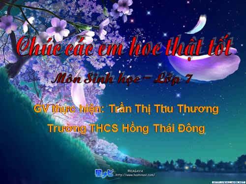 Bài 22. Tôm sông