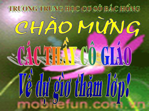 Bài 50. Đa dạng của lớp Thú: Bộ Ăn sâu bọ, bộ Gặm nhấm, bộ Ăn thịt