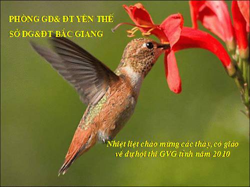 Bài 44. Đa dạng và đặc điểm chung của lớp Chim