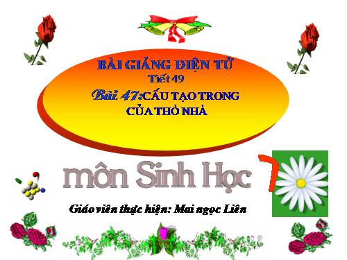 Bài 47. Cấu tạo trong của thỏ