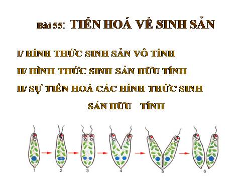 Bài 55. Tiến hoá về sinh sản