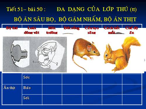 Bài 50. Đa dạng của lớp Thú: Bộ Ăn sâu bọ, bộ Gặm nhấm, bộ Ăn thịt