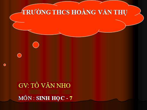 Bài 41. Chim bồ câu