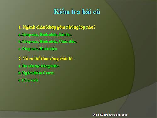 Bài 26. Châu chấu