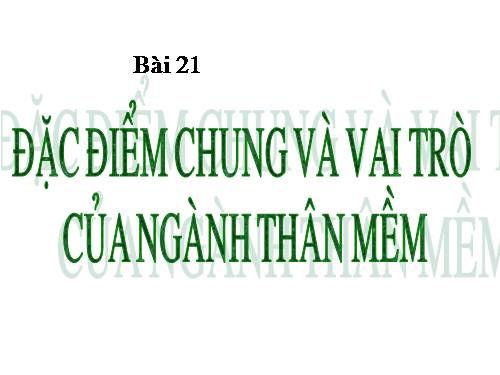 Bài 21. Đặc điểm chung và vai trò của ngành Thân mềm