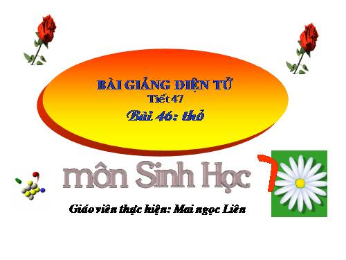 Bài 46. Thỏ