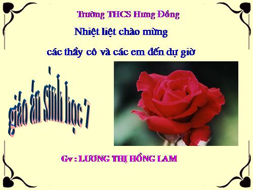 Bài 47. Cấu tạo trong của thỏ