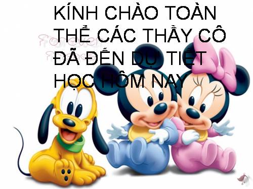 Bài 47. Cấu tạo trong của thỏ