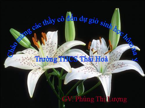 Bài 19. Một số thân mềm khác