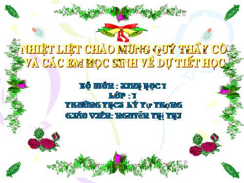 Bài 43. Cấu tạo trong của chim bồ câu