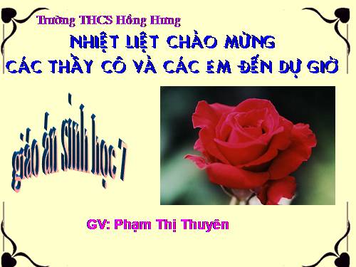 Bài 47. Cấu tạo trong của thỏ