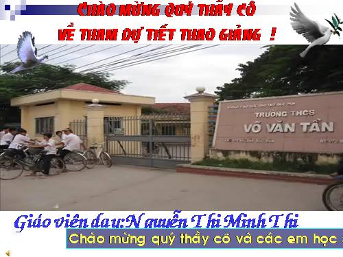 Bài 41. Chim bồ câu