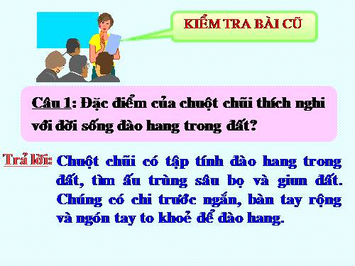 Bài 51. Đa dạng của lớp Thú: Các bộ Móng guốc và bộ Linh trưởng