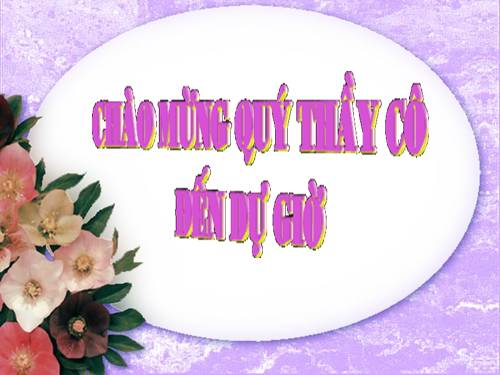 Bài 17. Một số giun đốt khác và đặc điểm chung của ngành Giun đốt