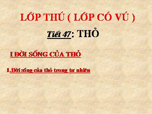 Bài 46. Thỏ