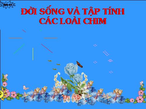 Bài 45. Thực hành: Xem băng hình về đời sống và tập tính của chim