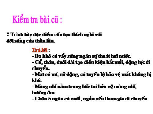 Bài 39. Cấu tạo trong của thằn lằn