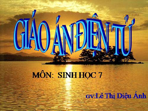 Bài 21. Đặc điểm chung và vai trò của ngành Thân mềm