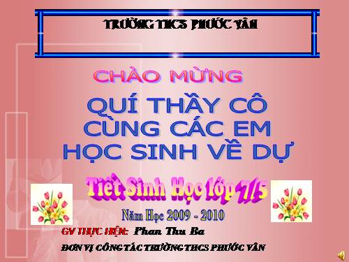 Bài 41. Chim bồ câu