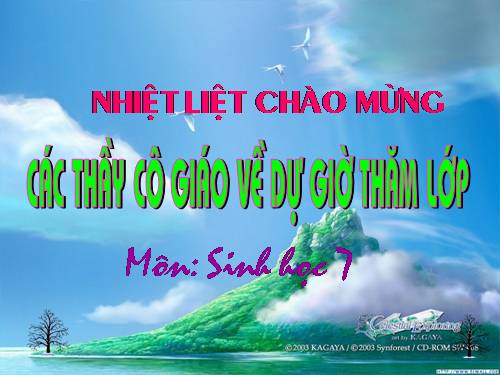 Bài 44. Đa dạng và đặc điểm chung của lớp Chim