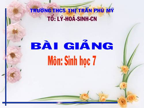Bài 47. Cấu tạo trong của thỏ