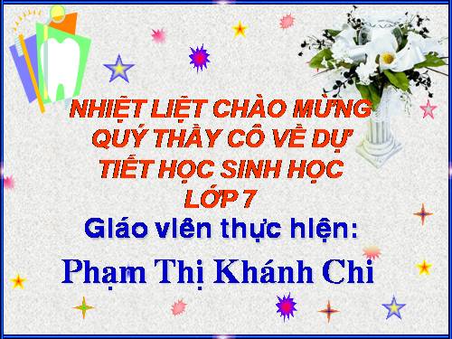 Bài 41. Chim bồ câu
