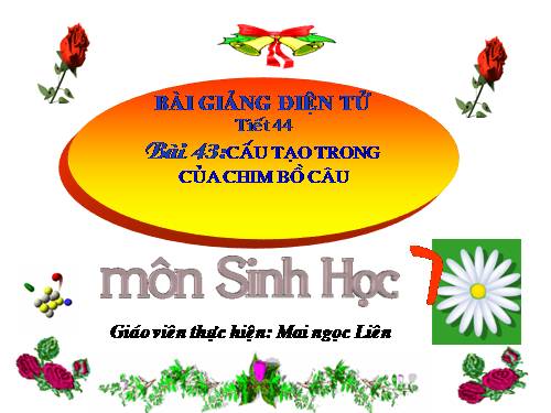 Bài 43. Cấu tạo trong của chim bồ câu