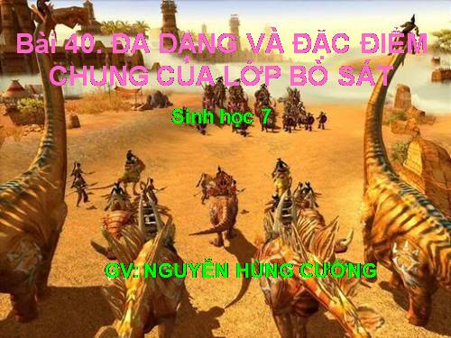 Bài 40. Đa dạng và đặc điểm chung của lớp Bò sát