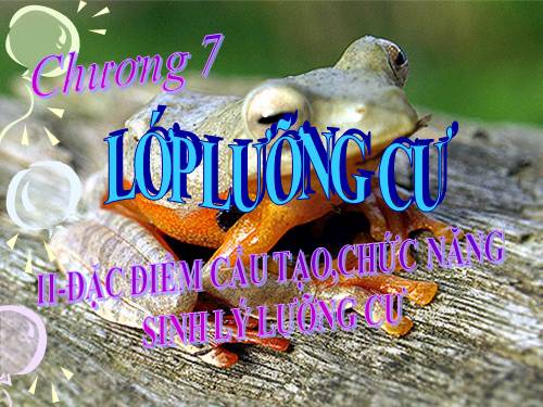 Bài 37. Đa dạng và đặc điểm chung của lớp Lưỡng cư