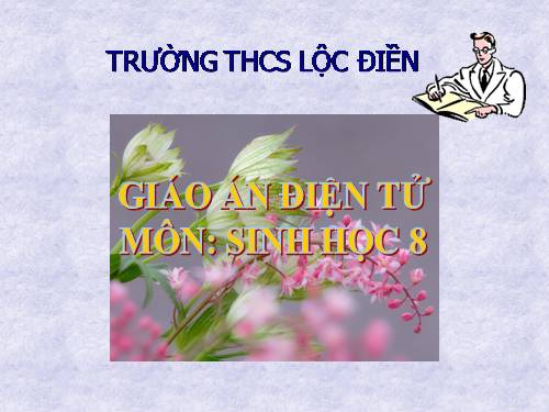 Bài 25. Nhện và sự đa dạng của lớp Hình nhện