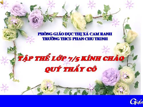 Bài 40. Đa dạng và đặc điểm chung của lớp Bò sát