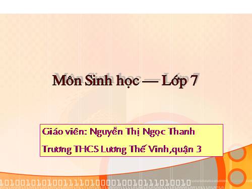 Bài 15. Giun đất