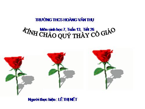Bài 25. Nhện và sự đa dạng của lớp Hình nhện