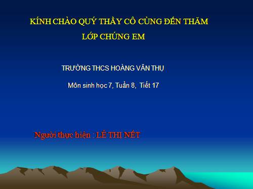 Bài 17. Một số giun đốt khác và đặc điểm chung của ngành Giun đốt