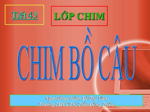 Bài 41. Chim bồ câu
