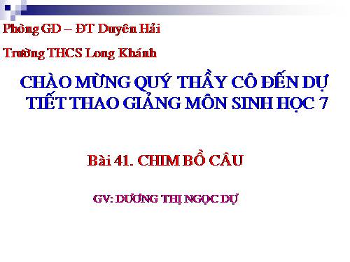 Bài 41. Chim bồ câu