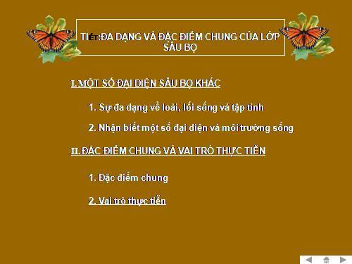 Bài 27. Đa dạng và đặc điểm chung của lớp Sâu bọ