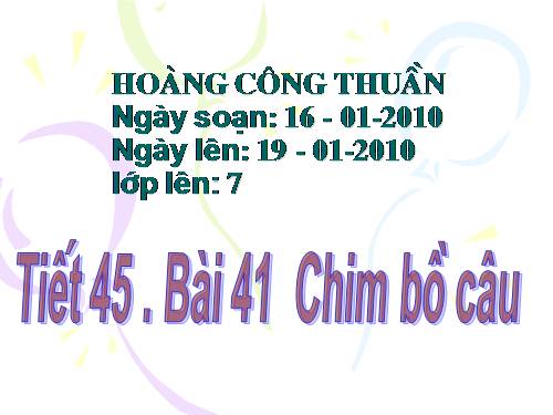 Bai 41Chim bo cau