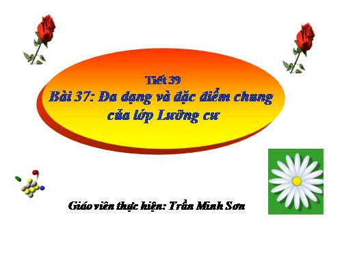 Bài 37. Đa dạng và đặc điểm chung của lớp Lưỡng cư