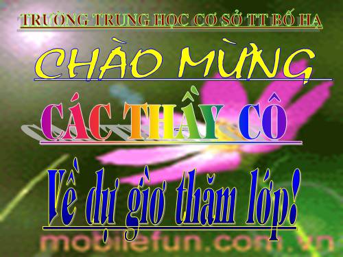 Bài 41. Chim bồ câu