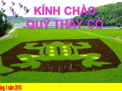 Bài 35. Ếch đồng