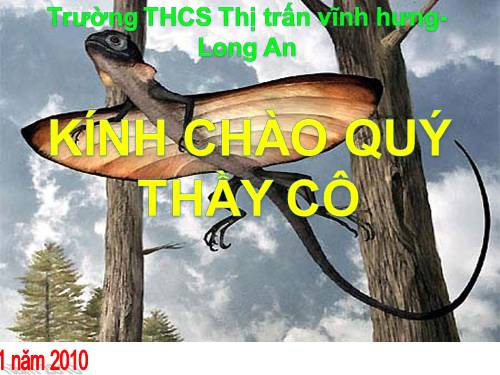 Bài 40. Đa dạng và đặc điểm chung của lớp Bò sát